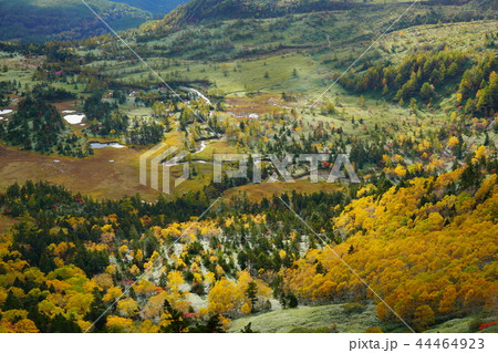 群馬県 渋峠から望む 紅葉した芳ヶ平湿原の写真素材