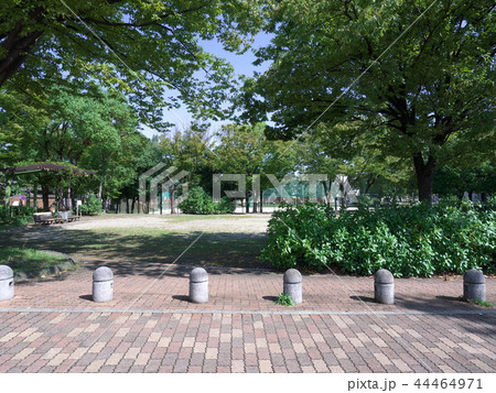 小公園の入口 44464971