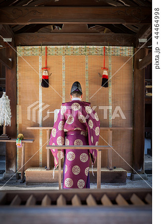 神社で祭事を行う神主 神社で祭事を行う神主 44464998