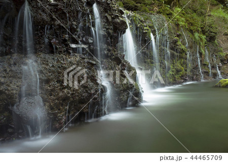 千条の滝 44465709