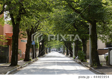 西海子小路 西海子小路 44465954