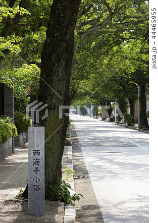 西海子小路 西海子小路 44465955