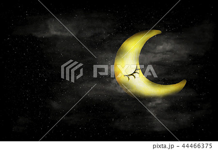night sky with Crescent moon face and stars night sky with Crescent moon face and stars 44466375