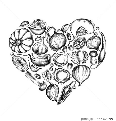 Vector collection of hand drawn autumn vegetables shape of heart 44467199