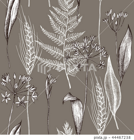 Vector seamless pattern of autumn plants pattern. Hand drawn vector illustration Vector seamless pattern of autumn plants pattern. Hand drawn vector illustration 44467238