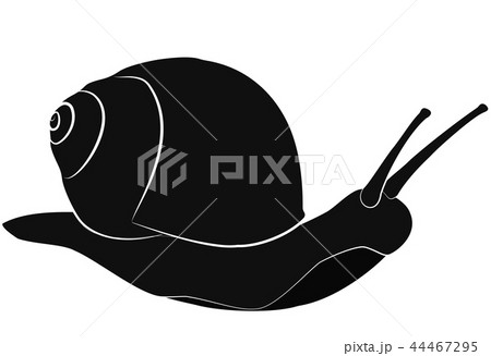 Snail Black Silhouette On White Vectorのイラスト素材