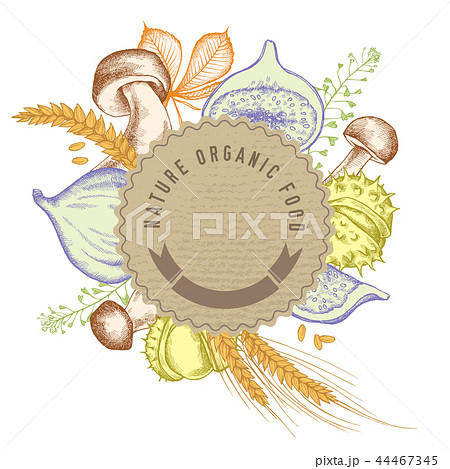 Round paper emblem over autumn food. Hand drawn vector illustration 44467345