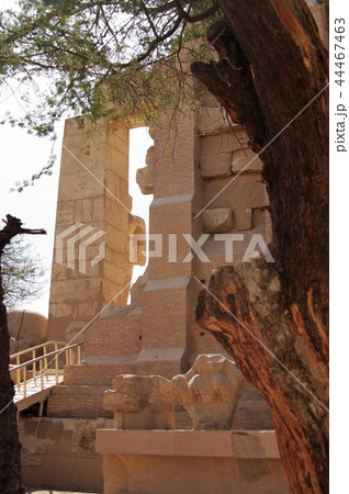 エジプト　ラムセス2世、ラメセス2世・ラムセス3世、ラメセス3世　遺跡 44467463