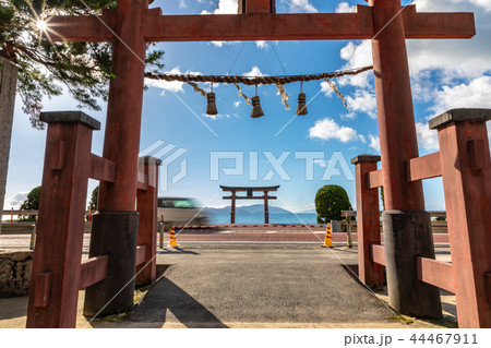 白鬚神社 湖中大鳥居 44467911