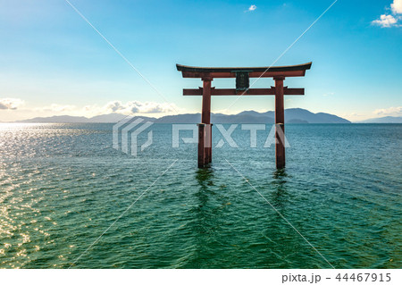 白鬚神社 湖中大鳥居 白鬚神社 湖中大鳥居 44467915