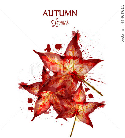 Autumn watercolor leaves Vector isolated 44468611
