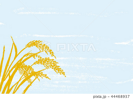 稲穂 水彩画 稲穂 水彩画 44468937