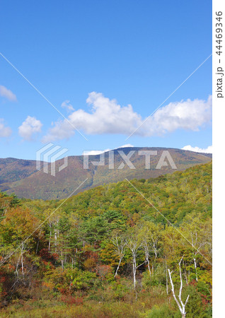 秋の志賀高原 秋の志賀高原 44469346