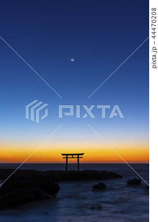 茨城県大洗町　神磯の鳥居 44470208