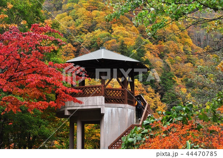 長野県高山村 松川渓谷の八滝展望台と鮮やかな紅葉 長野県高山村 松川渓谷の八滝展望台と鮮やかな紅葉 44470785