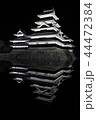 夜の松本城 44472384