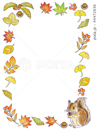 秋のイメージ 44472636