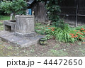 古民家の井戸 44472650