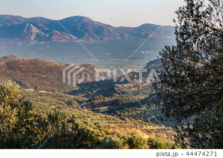 Olive plantations in the mountains, Crete, Greece 44474271