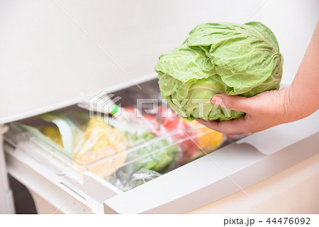 冷蔵庫から取り出す野菜　キャベツ 44476092