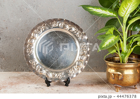 Vintage silverplate dish and green plants 44476378