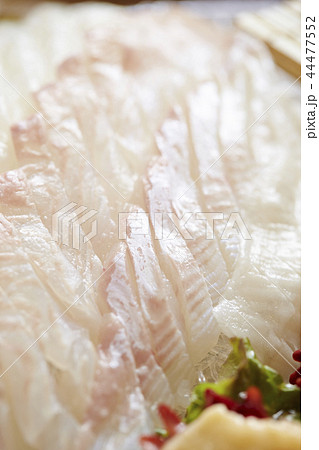 白身魚 平目 鯛の刺身の写真素材