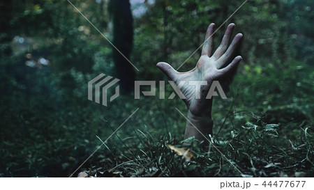 Zombie arm climbs out of the ground. 44477677