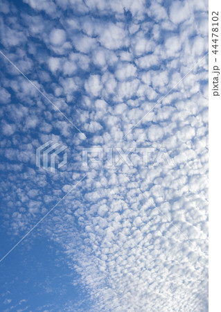 うろこ雲 うろこ雲 44478102