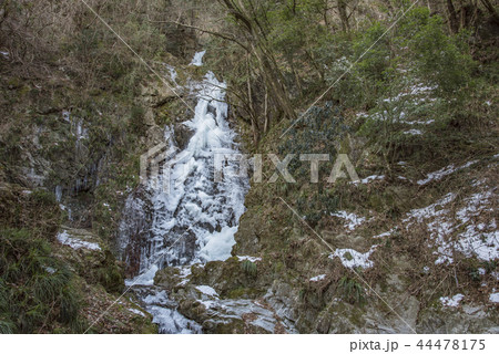 【払沢の滝】 44478175