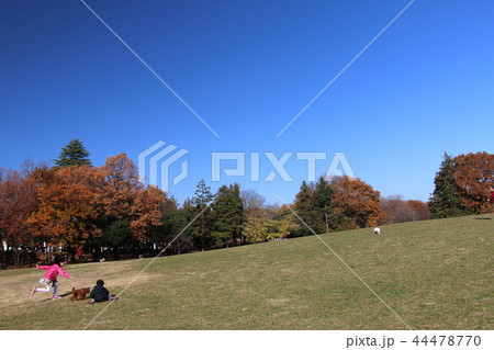 子どもたちにもペット犬にも大人気府中の森公園芝生広場 44478770