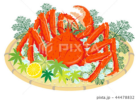 タラバガニ　たらば蟹　鱈場蟹　白背景 44478832