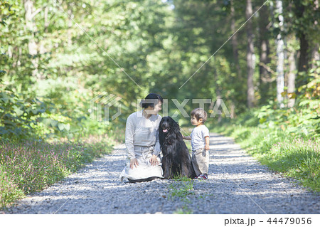 犬のいる生活の写真素材