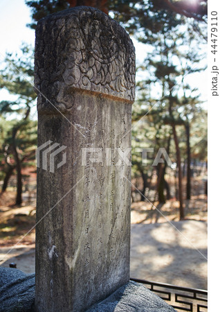 昌慶宮 鍾路区 ソウル 44479110