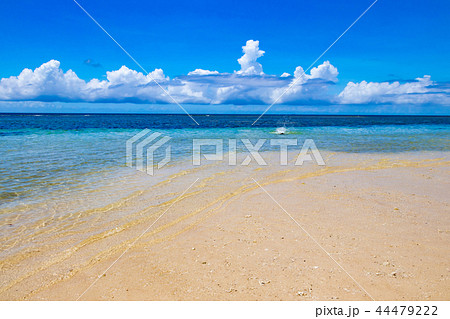 沖縄石垣島 米原ビーチの写真素材