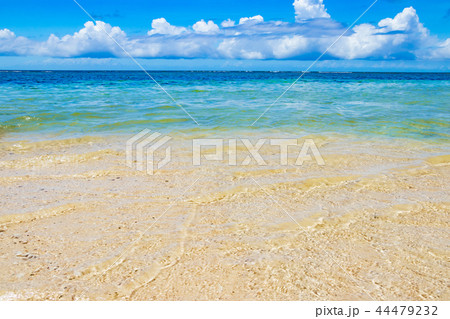 沖縄石垣島 米原ビーチ 沖縄石垣島 米原ビーチ 44479232