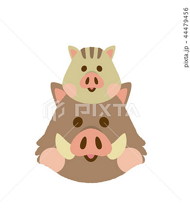 イノシシ  44479456