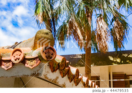 沖縄石垣島 古民家と琉球瓦 沖縄石垣島 古民家と琉球瓦 44479535