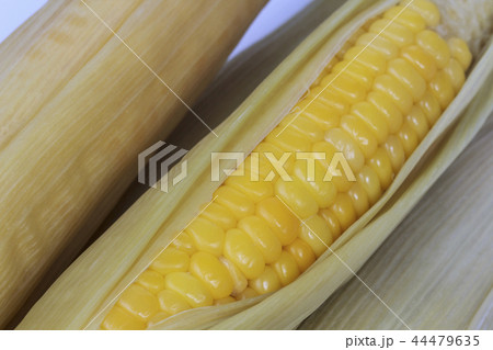 Close up boiled corn isolated on white background 44479635