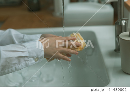 Housework 44480002