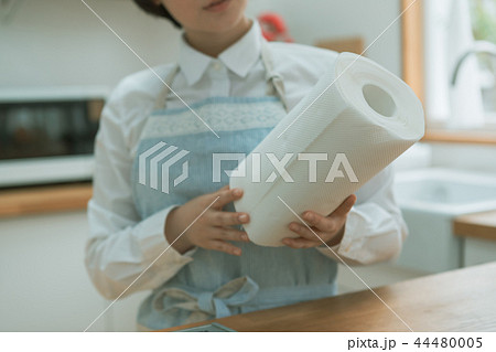 Housework 44480005