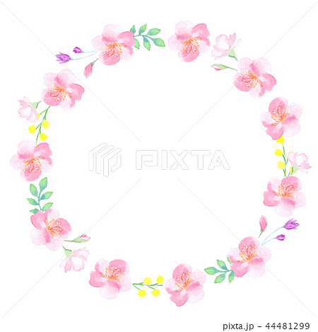 桜の花のリース 水彩のイラスト素材