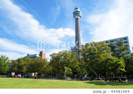 山下公園から見る横浜マリンタワーの写真素材 [44481404] - PIXTA