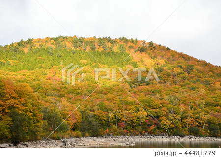 志賀高原の紅葉 #13 志賀高原の紅葉 #13 44481779