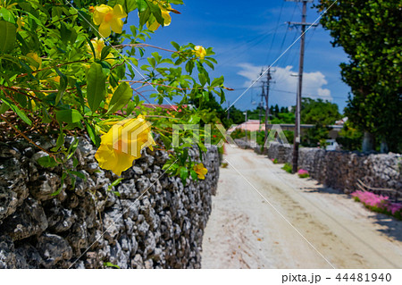 沖縄竹富島　街並み　琉球瓦の屋根 44481940