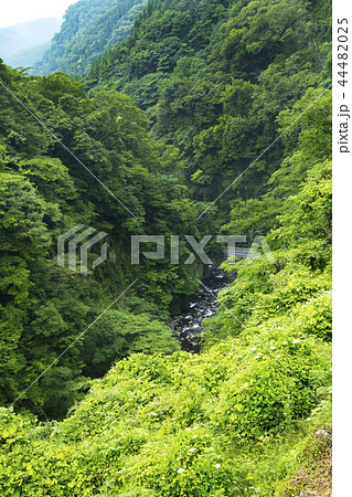 九酔渓展望所からの風景 九酔渓展望所からの風景 44482025