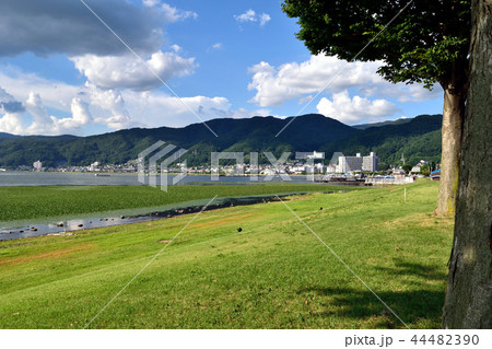 諏訪湖 湖畔 44482390