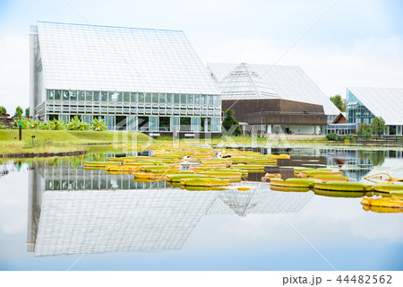 富山県中央植物園　 44482562
