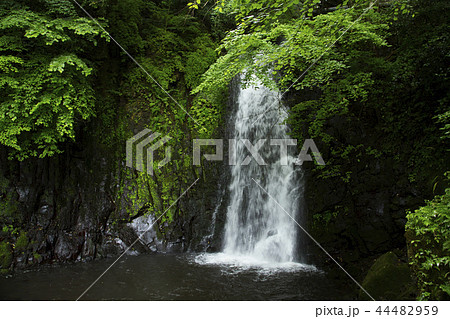 天狗の滝 天狗の滝 44482959