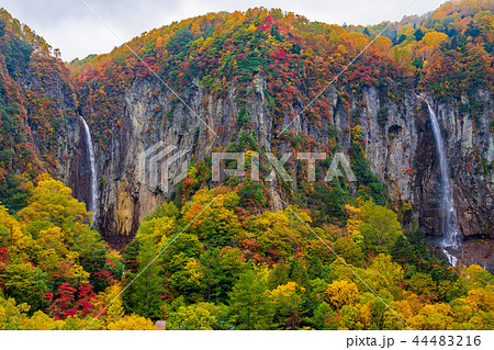 （長野県）米子大瀑布　紅葉 44483216