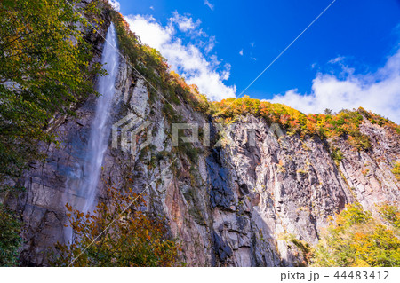 （長野県）紅葉の米子大瀑布　不動滝 44483412